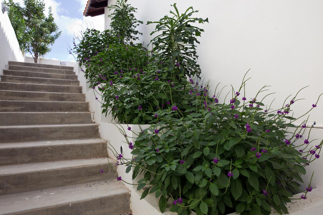 One Ocean Boutique Apartments & Suites Bonaire Kralendijk Exterior foto